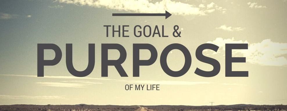 purpose2